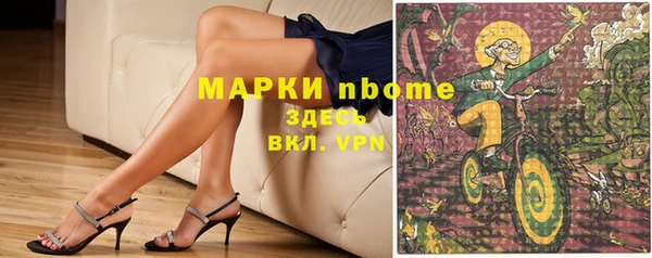 ешки Аркадак